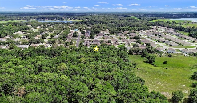 1702 Hoofprint Ct, Fruitland Park, FL 34731 - aerial view of residential area with a nearby body of water