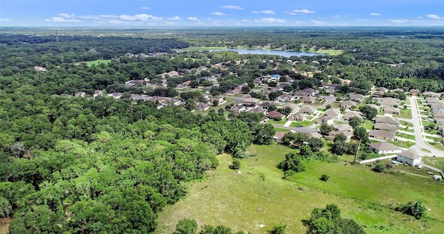 1702 Hoofprint Ct, Fruitland Park, FL 34731 - aerial perspective of suburban area with a heavily wooded area and a nearby body of water