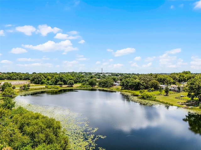 628 Drew Ave, Clermont, FL 34711 - water view