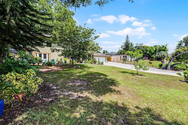 628 Drew Ave, Clermont, FL 34711 - view of grassy yard featuring driveway