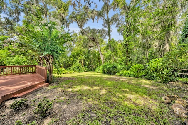 1841 Normandy Dr, Mount Dora, FL 32757 - photo 33