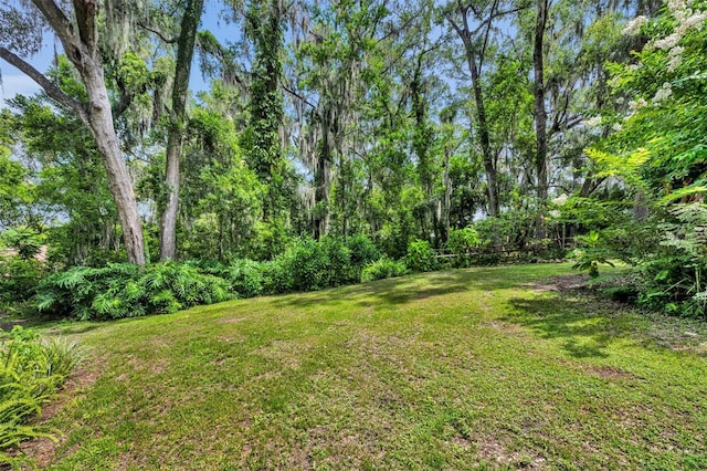 1841 Normandy Dr, Mount Dora, FL 32757 - photo 35