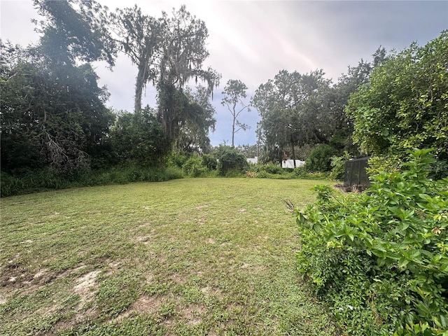 6616 Tuscawilla Dr, Leesburg, FL 34748 - photo 7