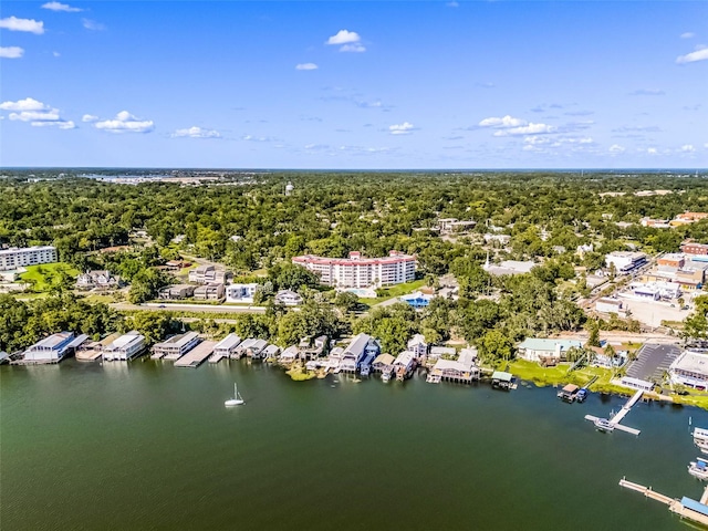 601 N Mcdonald St Unit 2, Mount Dora, FL 32757 - photo 36