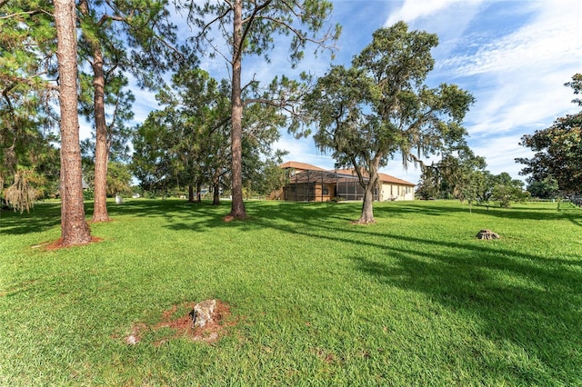 21312 Marsh View Ct, Clermont, FL 34715 - view of green lawn