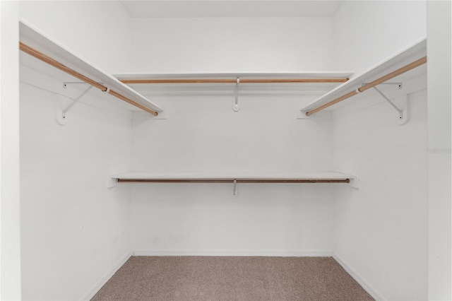 21312 Marsh View Ct, Clermont, FL 34715 - spacious closet featuring carpet
