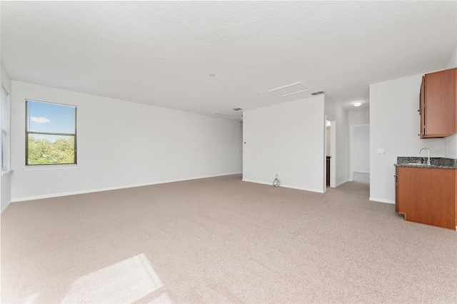 21312 Marsh View Ct, Clermont, FL 34715 - unfurnished living room with light colored carpet and a textured ceiling