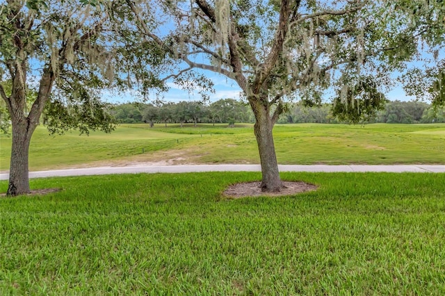 3507 Arlington Ridge Blvd, Leesburg, FL 34748 - view of grassy yard