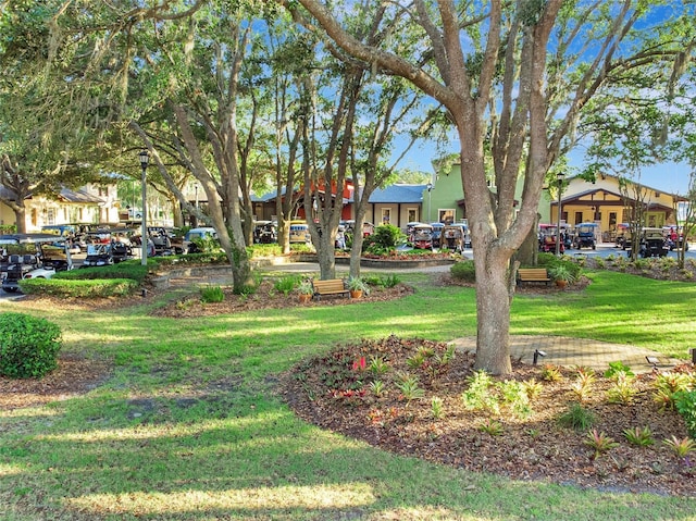 3507 Arlington Ridge Blvd, Leesburg, FL 34748 - view of property's community with a yard