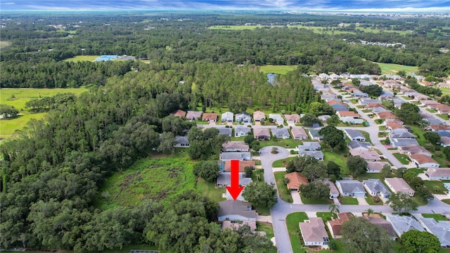32942 Rambling Oaks Ct, Leesburg, FL 34748 - photo 2