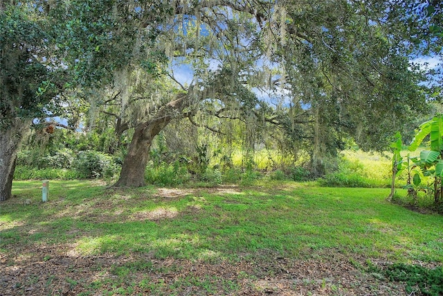 32942 Rambling Oaks Ct, Leesburg, FL 34748 - photo 34