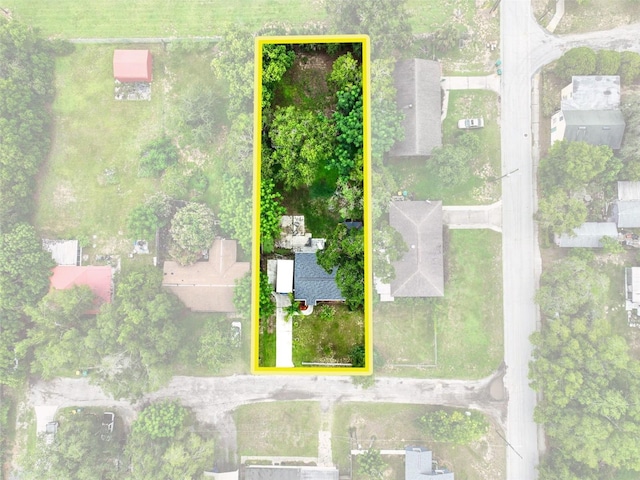 1610 Williams Ave, Eustis, FL 32726 - aerial view