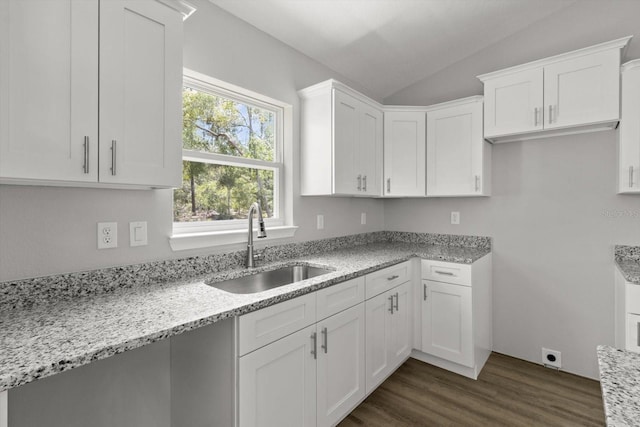 8641 N Stern Way, Citrus Springs, FL 34434 - kitchen featuring lofted ceiling, light stone counters, white cabinetry, and dark wood-type flooring