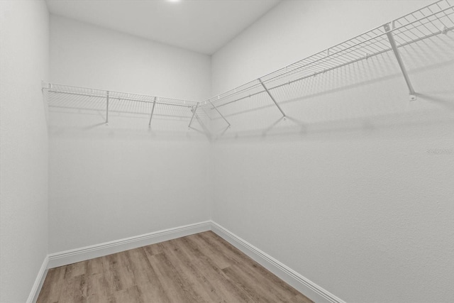 8641 N Stern Way, Citrus Springs, FL 34434 - spacious closet featuring light wood-type flooring