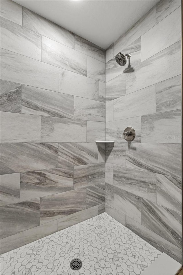 8641 N Stern Way, Citrus Springs, FL 34434 - full bath with tiled shower