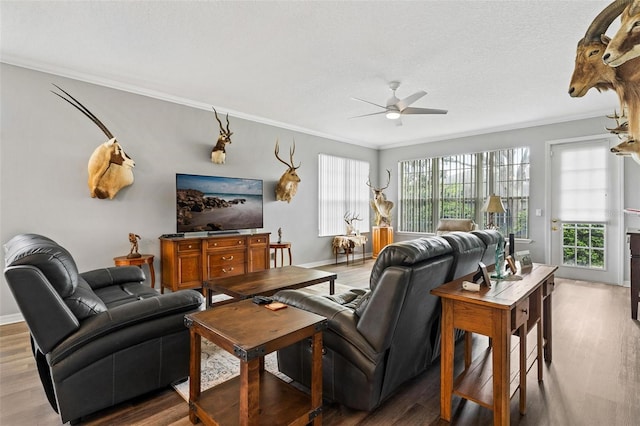 5971 Brittania Blvd, Tavares, FL 32778 - living area with ceiling fan, crown molding, healthy amount of natural light, and wood finished floors