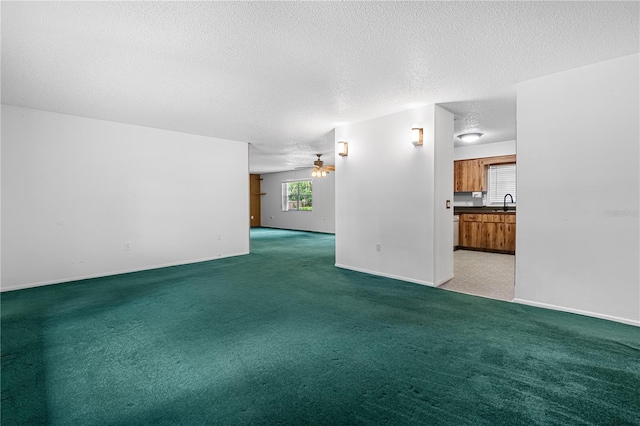 2047 Crk 446, Lake Panasoffkee, FL 33538 - photo 8