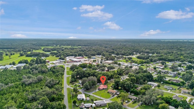 2047 Crk 446, Lake Panasoffkee, FL 33538 - photo 32