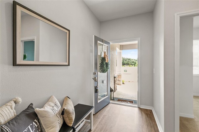 33289 Always Dreaming Ct, Sorrento, FL 32776 - photo 5