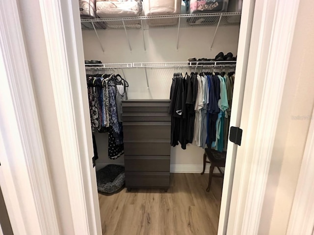 384 Summer Squall Rd, Davenport, FL 33837 - view of closet