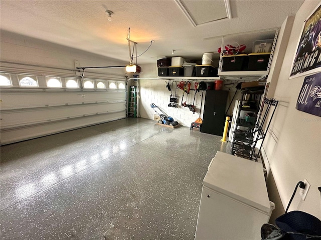 384 Summer Squall Rd, Davenport, FL 33837 - garage featuring a garage door opener and refrigerator