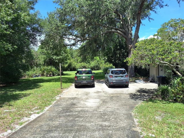 29205 Old Ml E, Tavares, FL 32778 - view of concrete road
