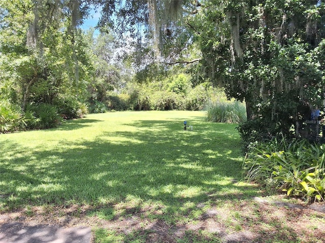 29205 Old Ml E, Tavares, FL 32778 - view of green lawn