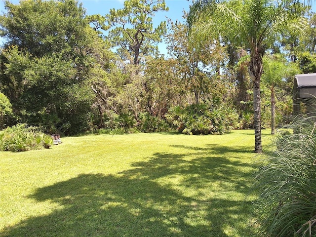 29205 Old Ml E, Tavares, FL 32778 - view of grassy yard