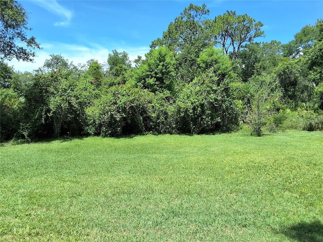 29205 Old Ml E, Tavares, FL 32778 - view of grassy yard featuring a view of trees