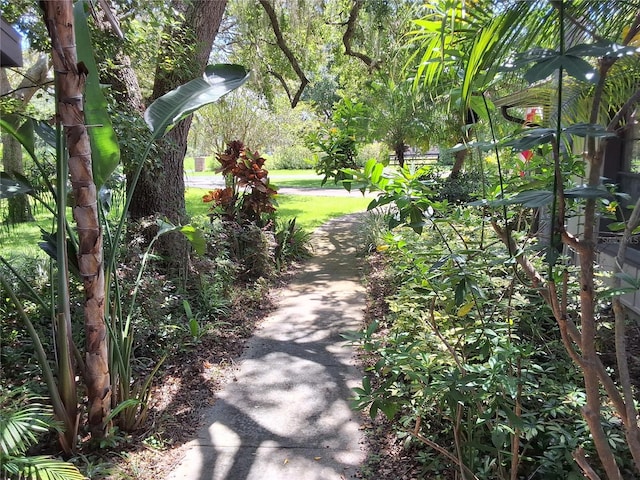 29205 Old Ml E, Tavares, FL 32778 - surrounding community