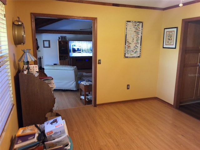 29205 Old Ml E, Tavares, FL 32778 - hallway featuring light wood-style flooring and baseboards