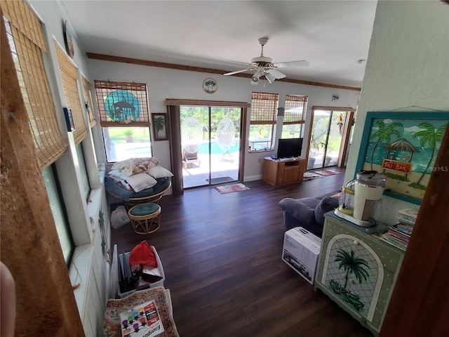 29205 Old Ml E, Tavares, FL 32778 - living area featuring dark wood-type flooring, ceiling fan, and crown molding