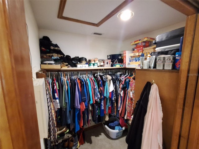 29205 Old Ml E, Tavares, FL 32778 - spacious closet with carpet