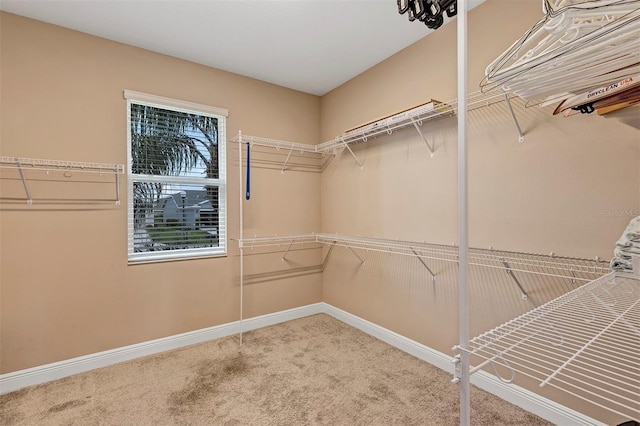 3681 Arlington Ridge Blvd, Leesburg, FL 34748 - walk in closet with carpet floors