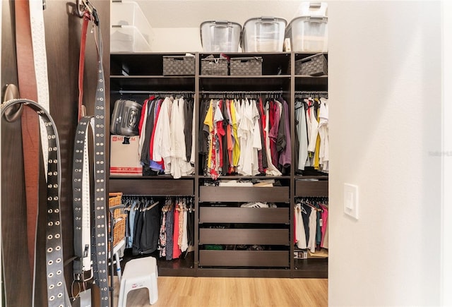 3750 Raspberry Ct, The Villages, FL 32163 - view of closet