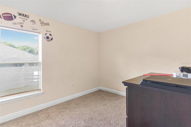7732 Sloewood Dr, Leesburg, FL 34748 - office area with healthy amount of natural light and light colored carpet