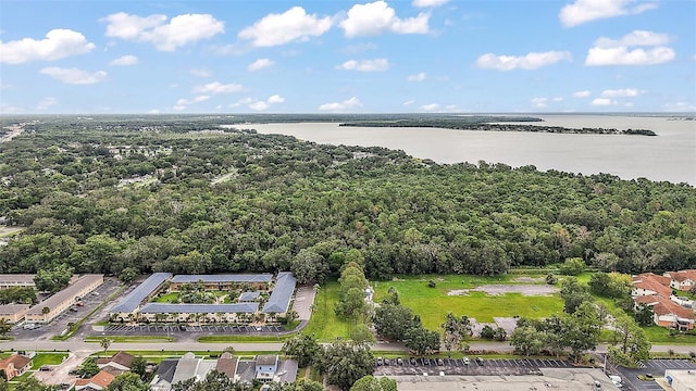 600 W Oak Terrace Dr, Leesburg, FL 34748 - aerial view of a large body of water and a heavily wooded area