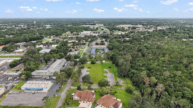 600 W Oak Terrace Dr, Leesburg, FL 34748 - aerial view