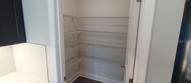 1867 Holden Ridge Ln, Clermont, FL 34715 - view of pantry