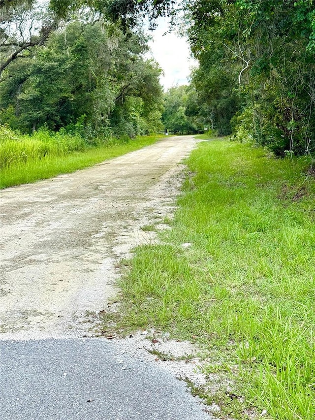 Rose Bloom Ave, Webster, FL 33597 - photo 3
