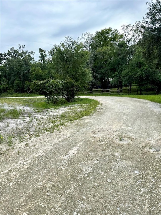 Rose Bloom Ave, Webster, FL 33597 - photo 6