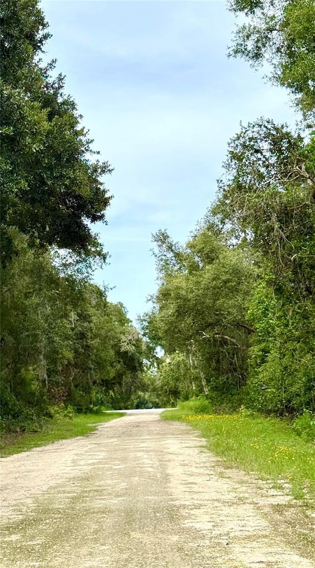 Rose Bloom Ave, Webster, FL 33597 - photo 7