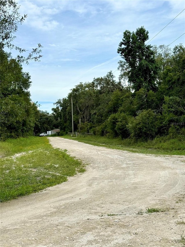Rose Bloom Ave, Webster, FL 33597 - photo 9