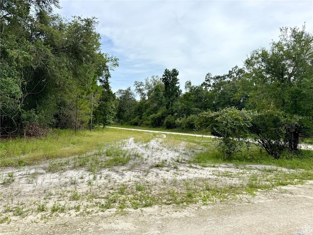 Rose Bloom Ave, Webster, FL 33597 - photo 11
