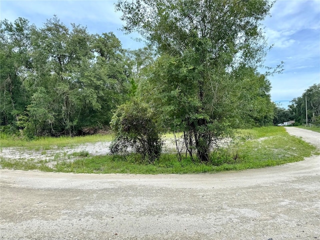 Rose Bloom Ave, Webster, FL 33597 - photo 1