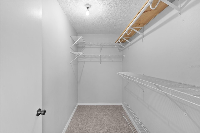 807 Ramos Dr, The Villages, FL 32159 - photo 17