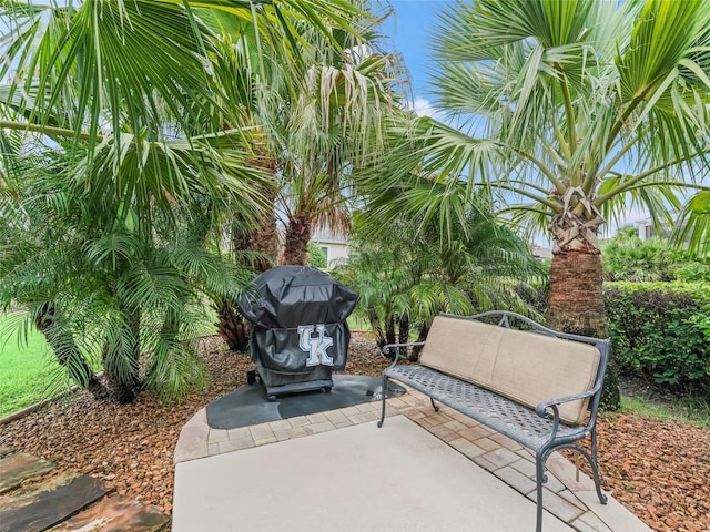 2217 Isleworth Cir, The Villages, FL 32163 - photo 22