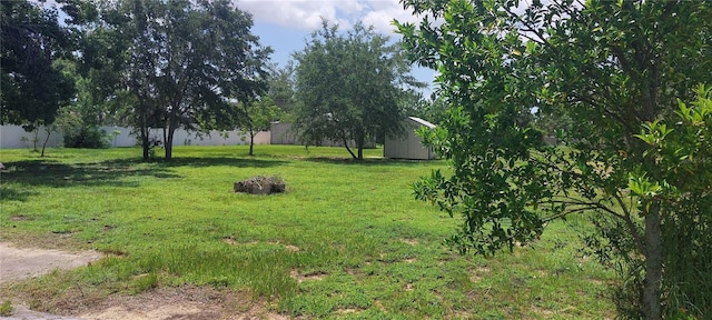 13420 Debbie Ln, Clermont, FL 34715 - view of yard