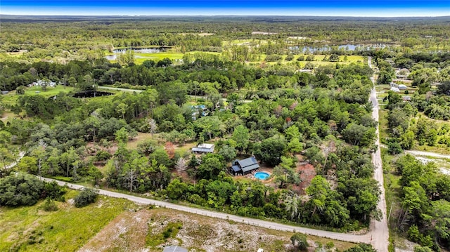 42328 Dogwood Ave, Deland, FL 32720 - photo 42