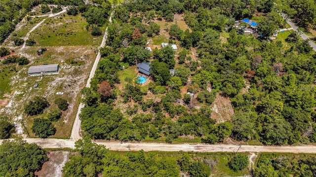 42328 Dogwood Ave, Deland, FL 32720 - photo 48